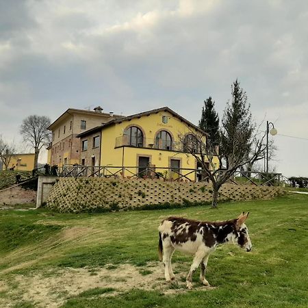 Agriturismo Antica Corte Montatteglia Eksteriør bilde