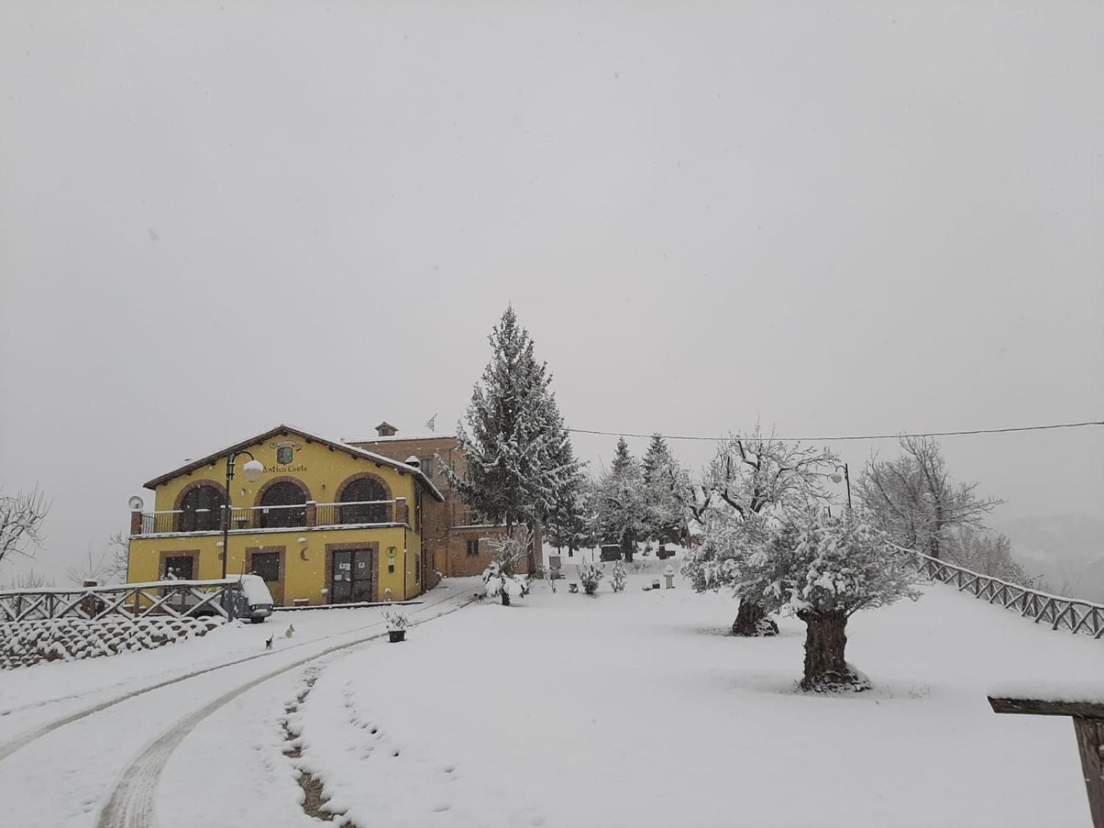 Agriturismo Antica Corte Montatteglia Eksteriør bilde